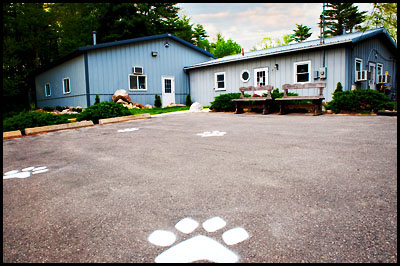 Dog Kennel,Dog Grooming,Dog Day Care Service, Dog Training in ...